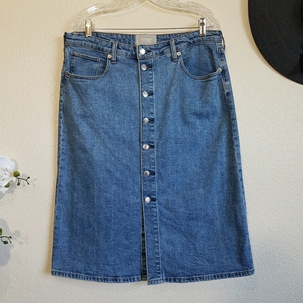 Everlane Denim Pencil Skirt